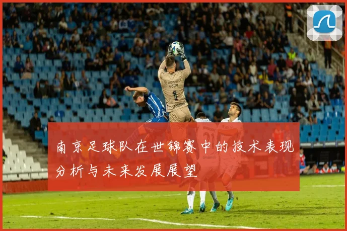 南京足球队在世锦赛中的技术表现分析与未来发展展望