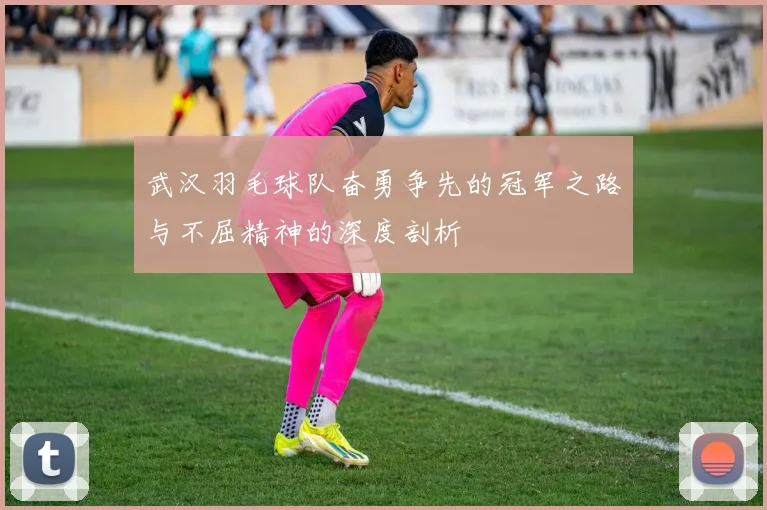 武汉羽毛球队奋勇争先的冠军之路与不屈精神的深度剖析