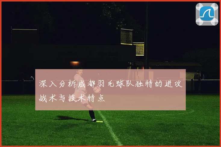 深入分析成都羽毛球队独特的进攻战术与技术特点