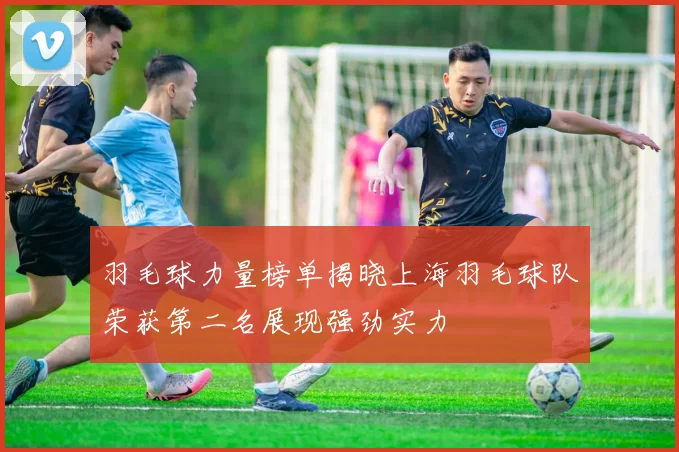 羽毛球力量榜单揭晓上海羽毛球队荣获第二名展现强劲实力