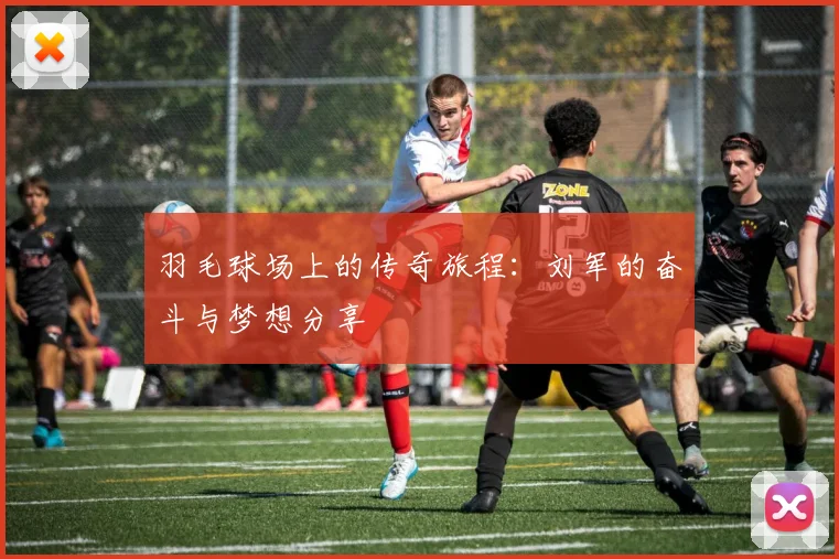 羽毛球场上的传奇旅程：刘军的奋斗与梦想分享